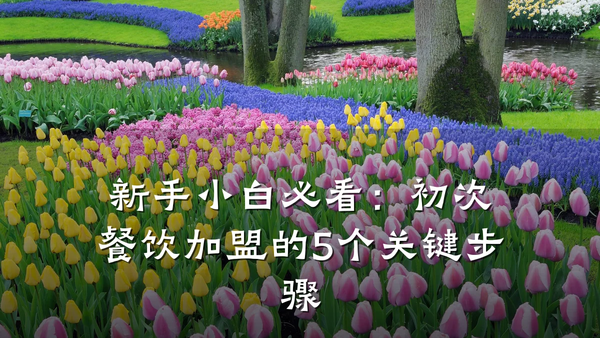 新手小白必看：初次餐饮加盟的5个关键步骤