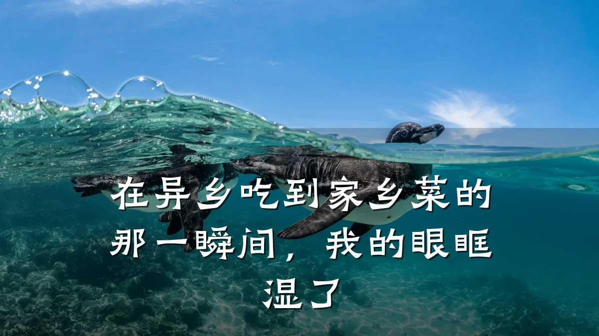 在异乡吃到家乡菜的那一瞬间，我的眼眶湿了