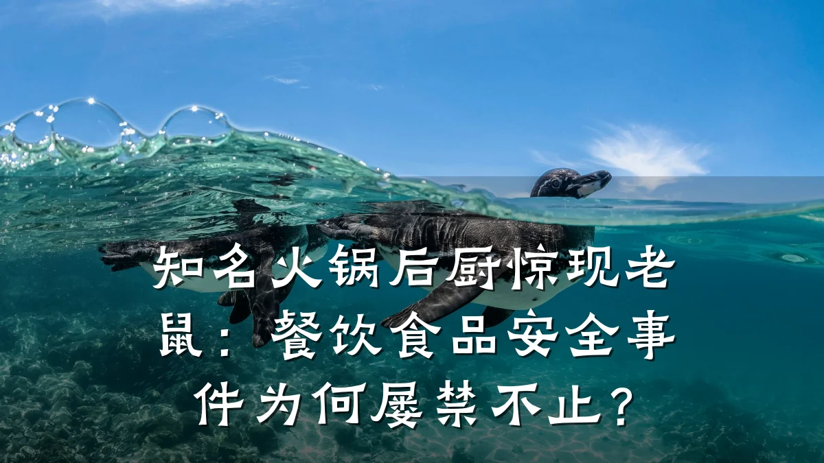 知名火锅后厨惊现老鼠：餐饮食品安全事件为何屡禁不止？