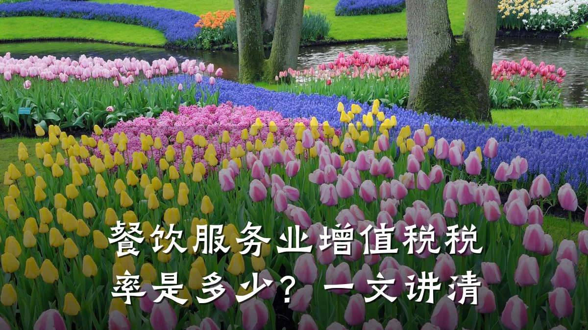 餐饮服务业增值税税率是多少？一文讲清