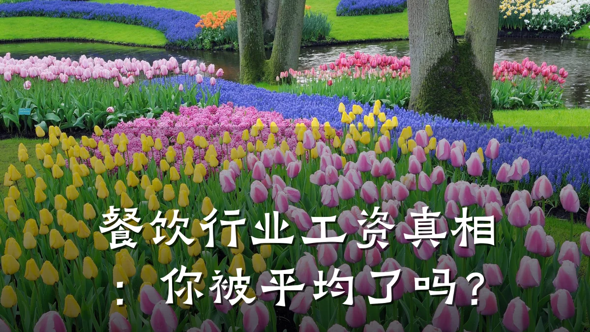 餐饮行业工资真相：你被平均了吗？