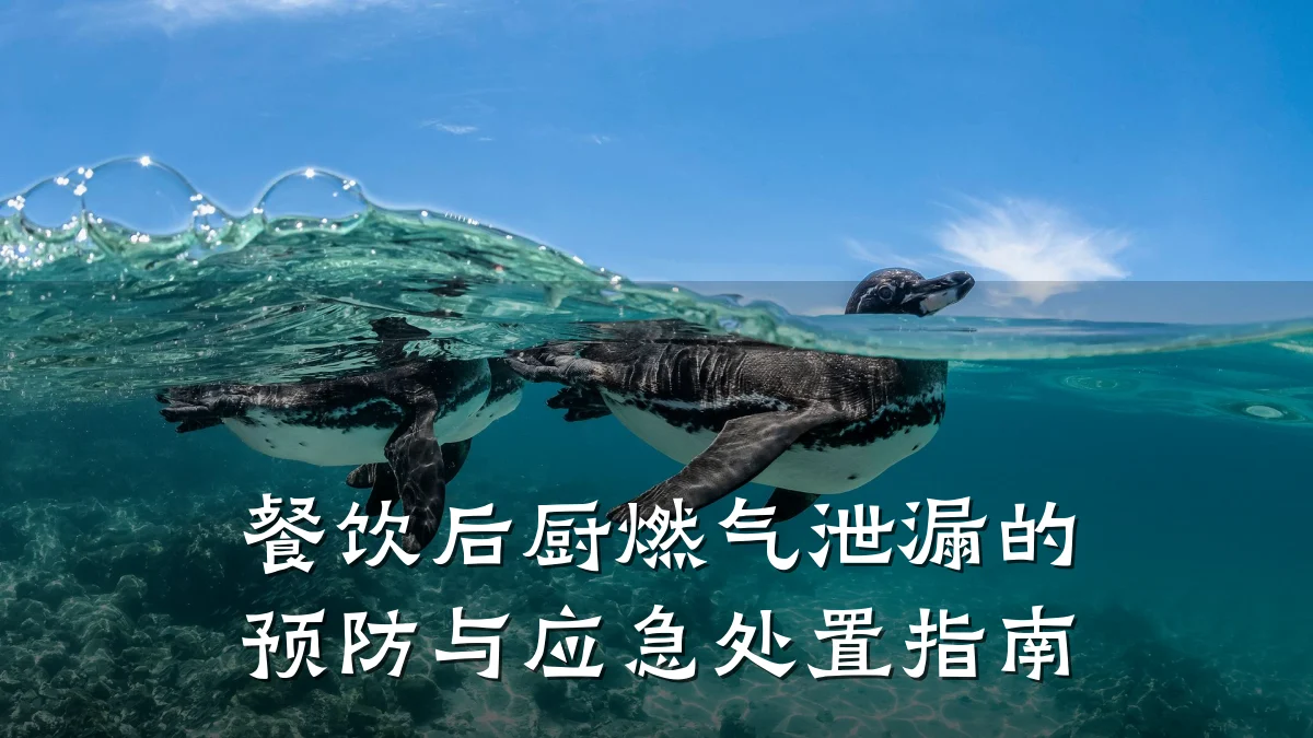 餐饮后厨燃气泄漏的预防与应急处置指南