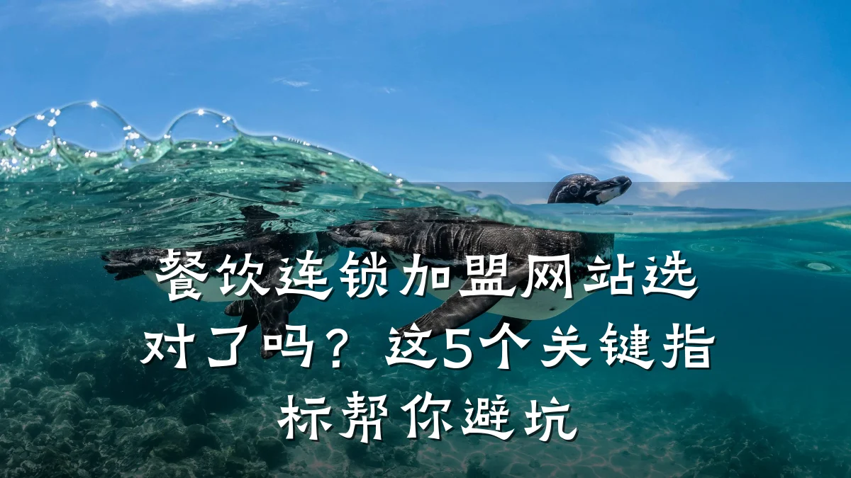 餐饮连锁加盟网站选对了吗？这5个关键指标帮你避坑