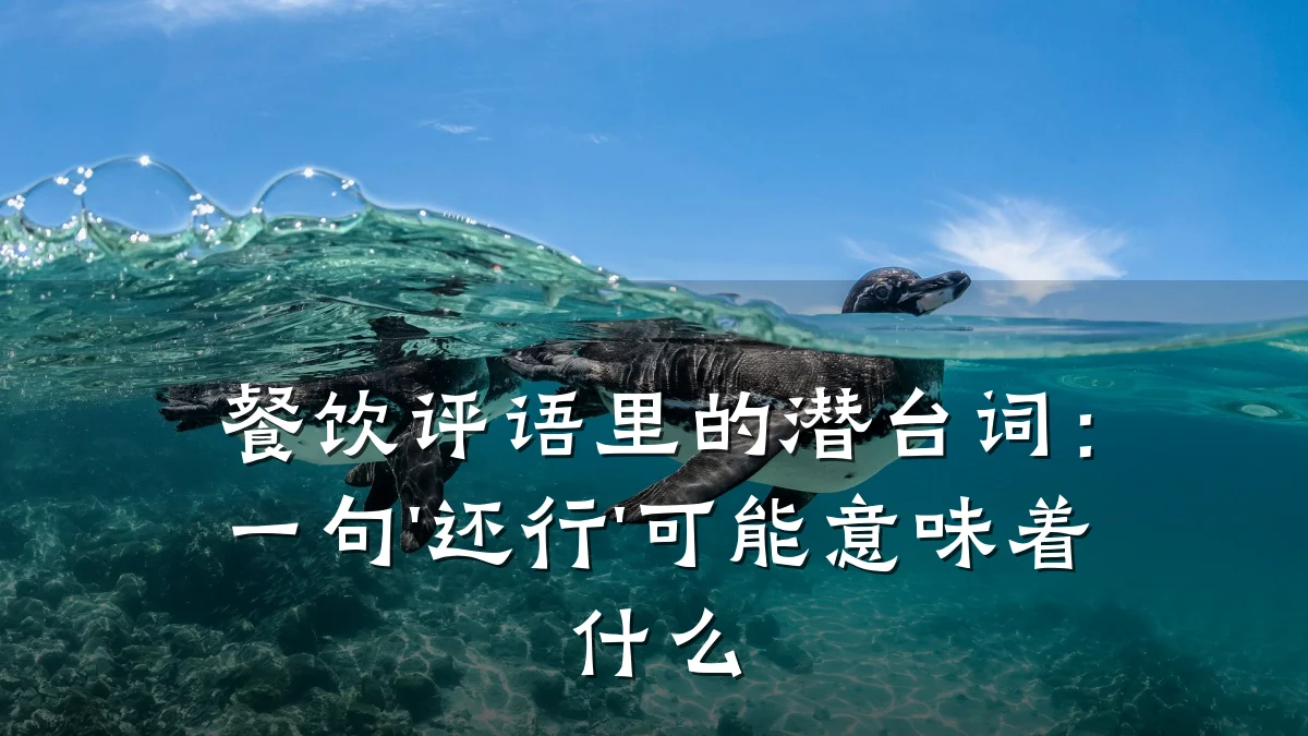餐饮评语里的潜台词:一句'还行'可能意味着什么