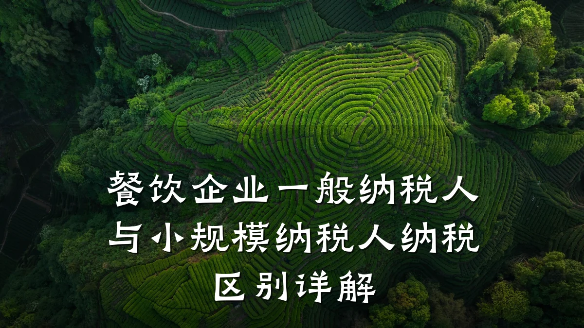 餐饮企业一般纳税人与小规模纳税人纳税区别详解