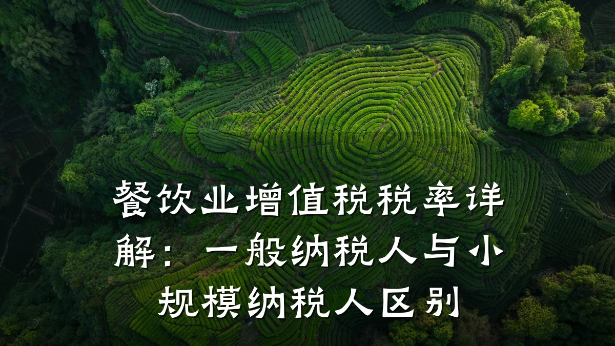 餐饮业增值税税率详解：一般纳税人与小规模纳税人区别