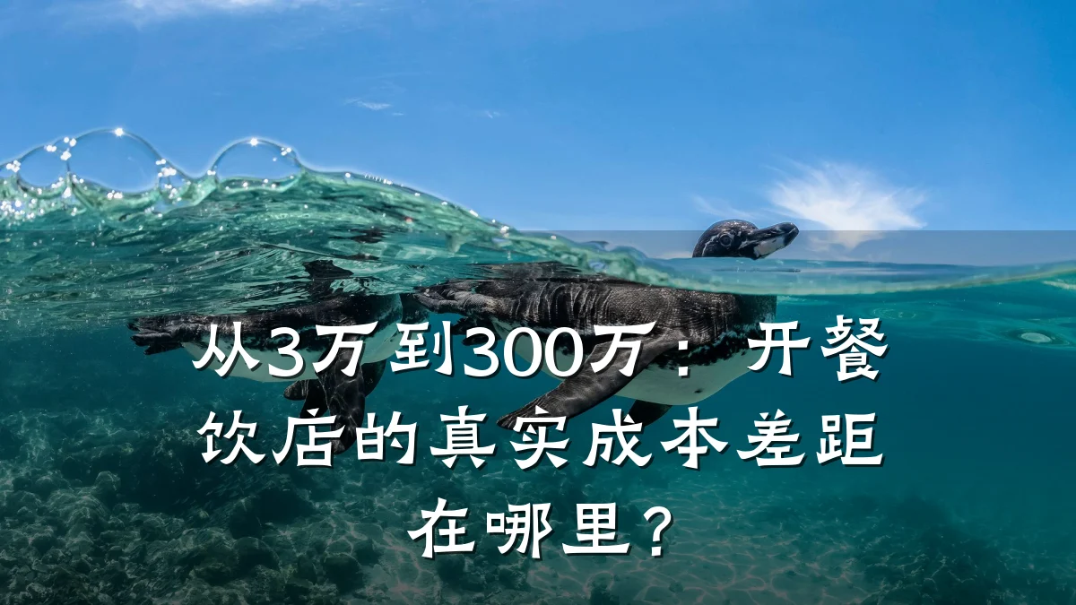 从3万到300万：开餐饮店的真实成本差距在哪里？