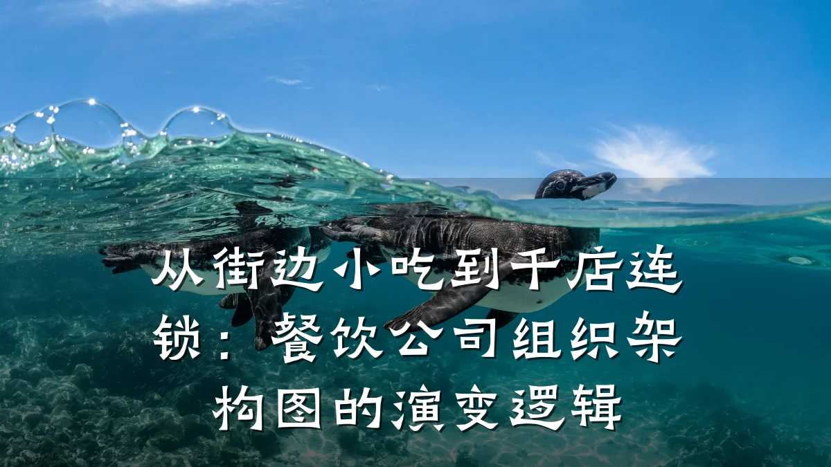 从街边小吃到千店连锁：餐饮公司组织架构图的演变逻辑