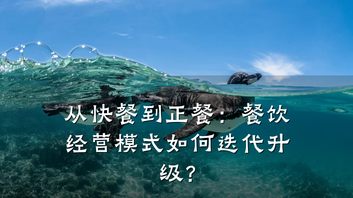 从快餐到正餐：餐饮经营模式如何迭代升级？