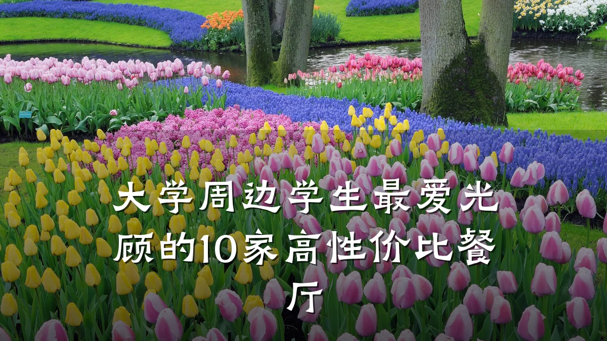 大学周边学生最爱光顾的10家高性价比餐厅