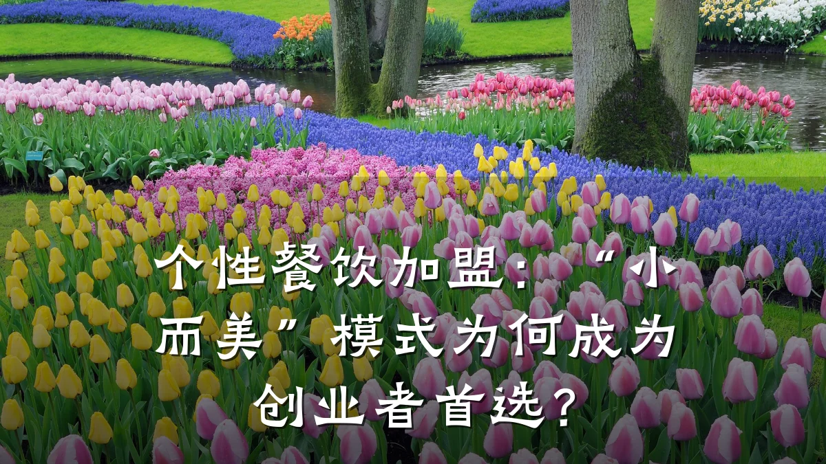 个性餐饮加盟：“小而美”模式为何成为创业者首选？