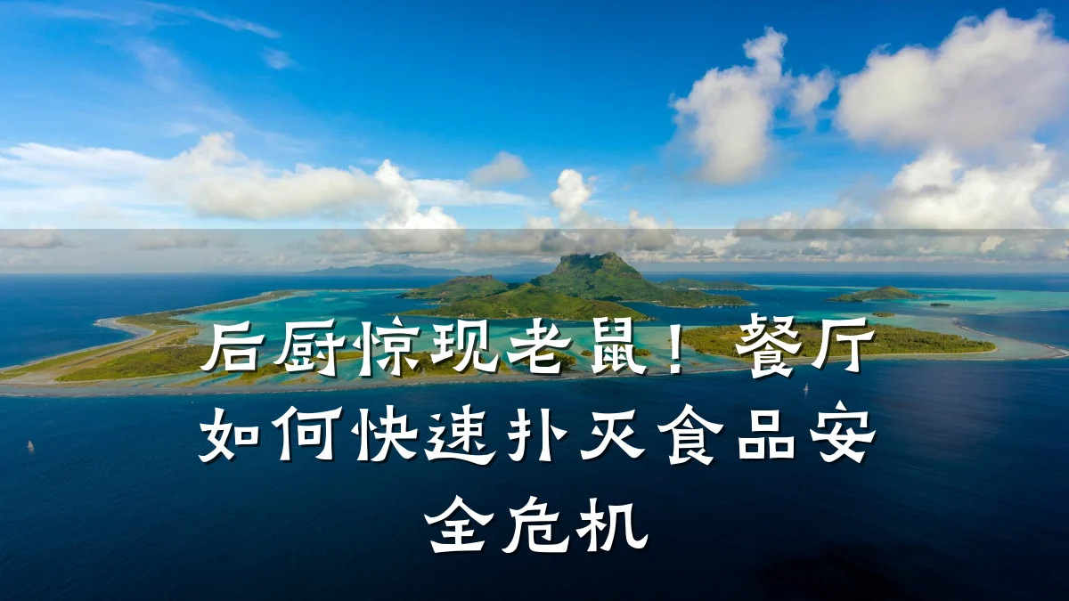 后厨惊现老鼠！餐厅如何快速扑灭食品安全危机