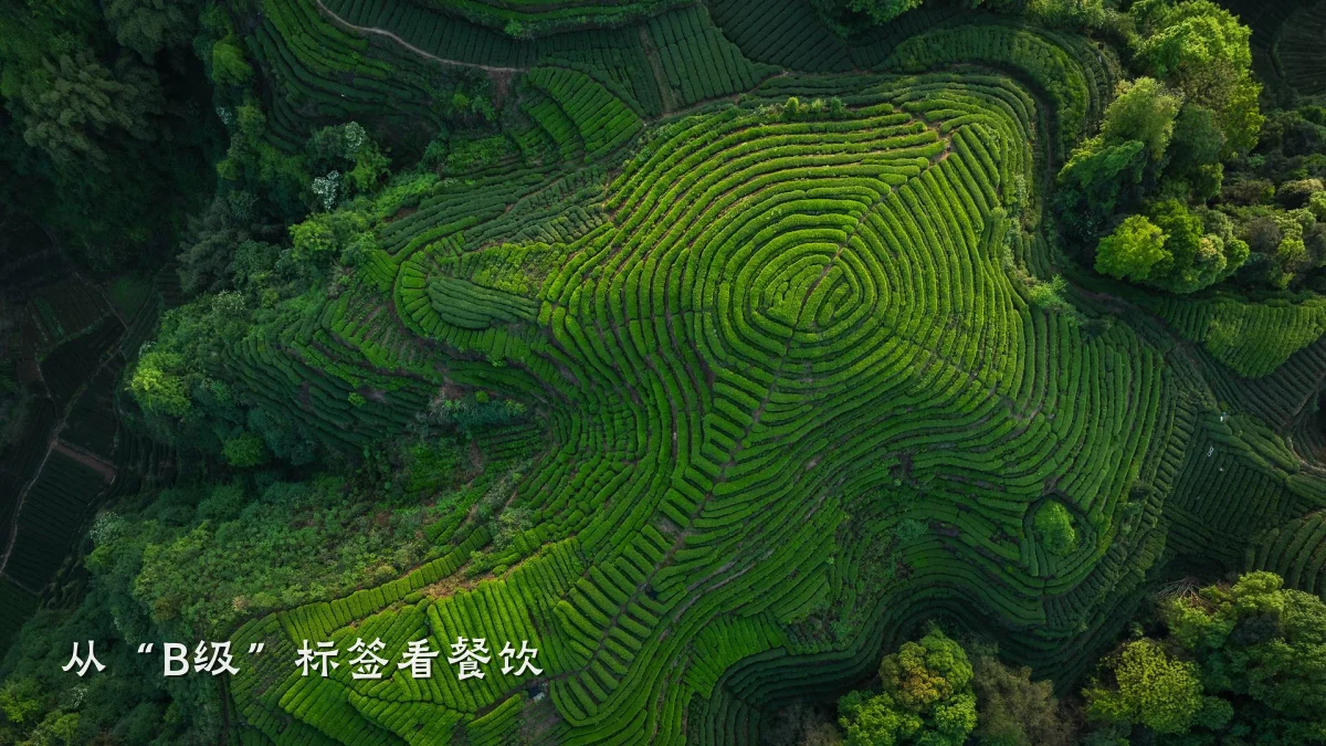 从“B级”标签看餐饮