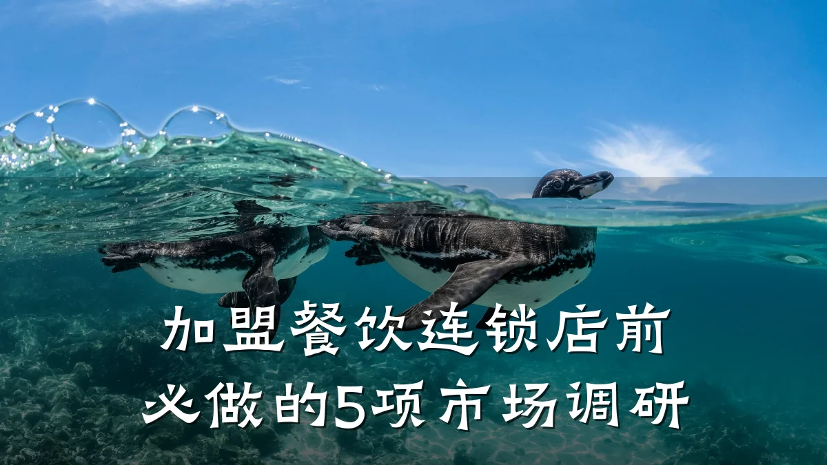 加盟餐饮连锁店前必做的5项市场调研