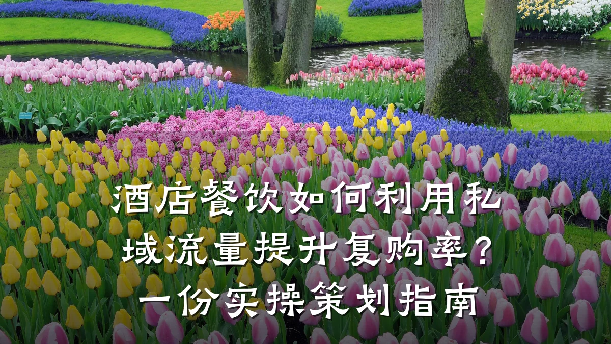酒店餐饮如何利用私域流量提升复购率？一份实操策划指南