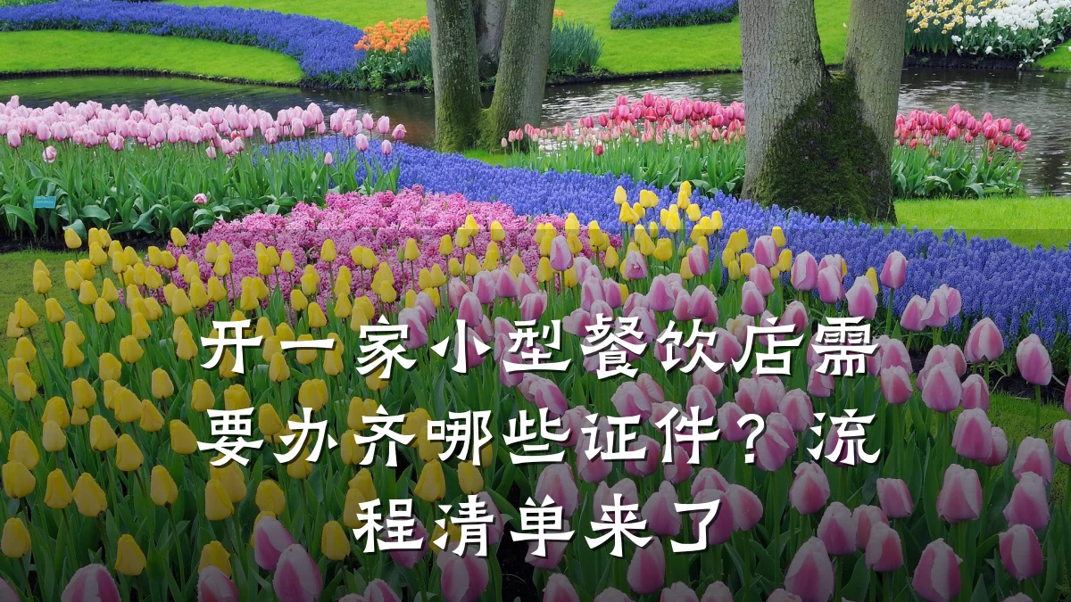 开一家小型餐饮店需要办齐哪些证件？流程清单来了