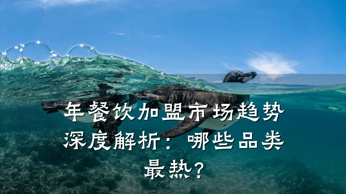 年餐饮加盟市场趋势深度解析：哪些品类最热？
