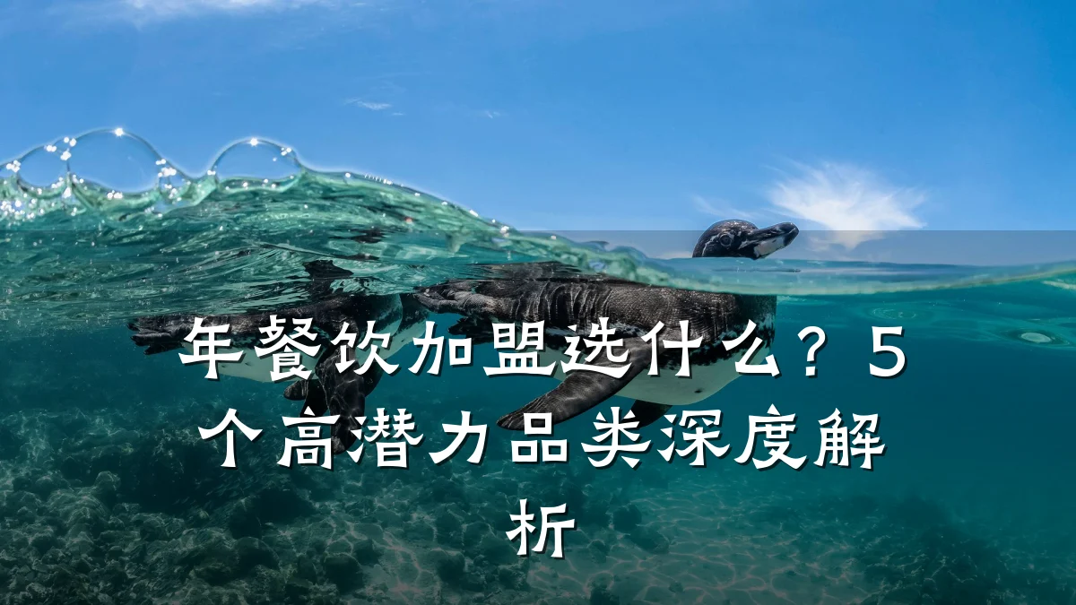 年餐饮加盟选什么？5个高潜力品类深度解析