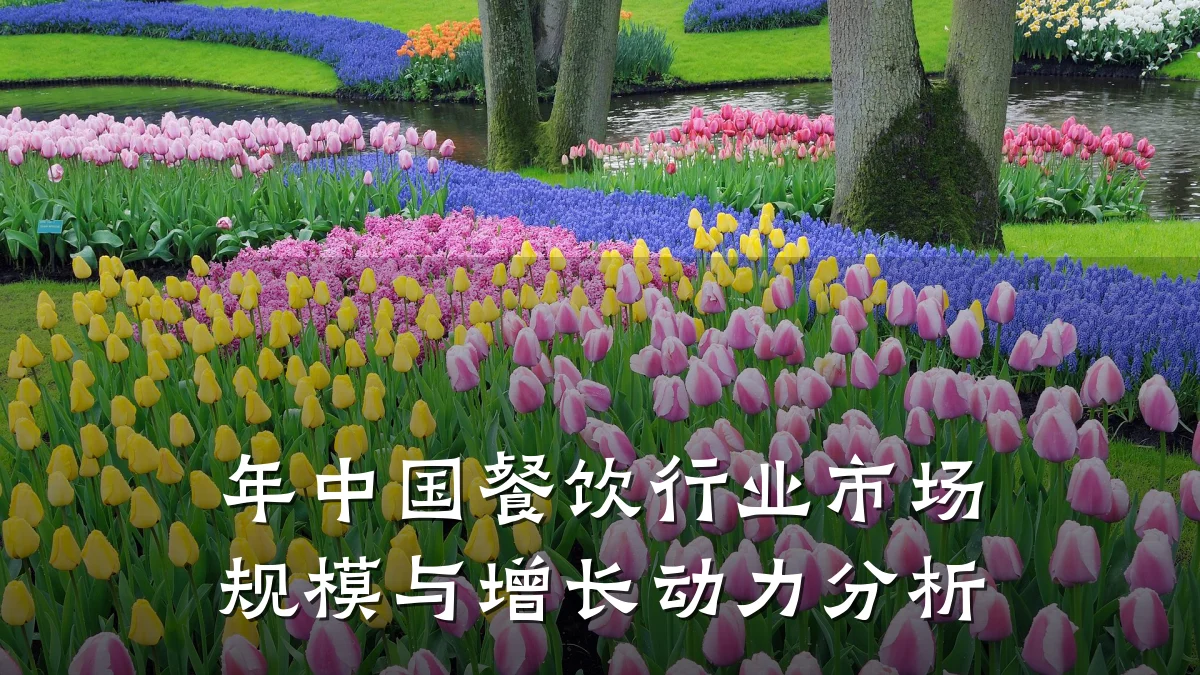 年中国餐饮行业市场规模与增长动力分析