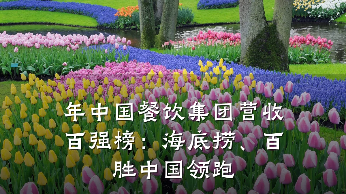 年中国餐饮集团营收百强榜：海底捞、百胜中国领跑
