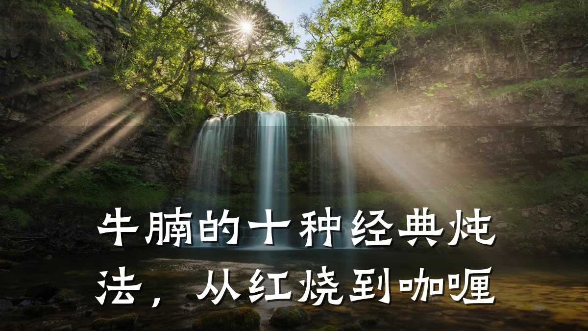 牛腩的十种经典炖法，从红烧到咖喱