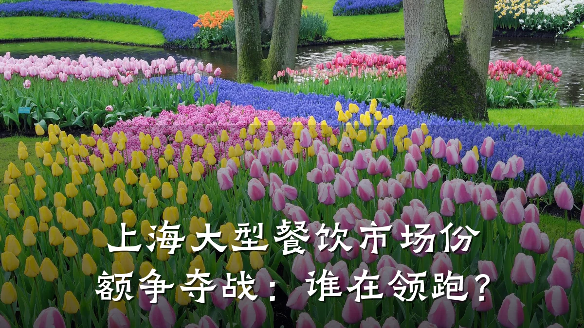上海大型餐饮市场份额争夺战：谁在领跑？
