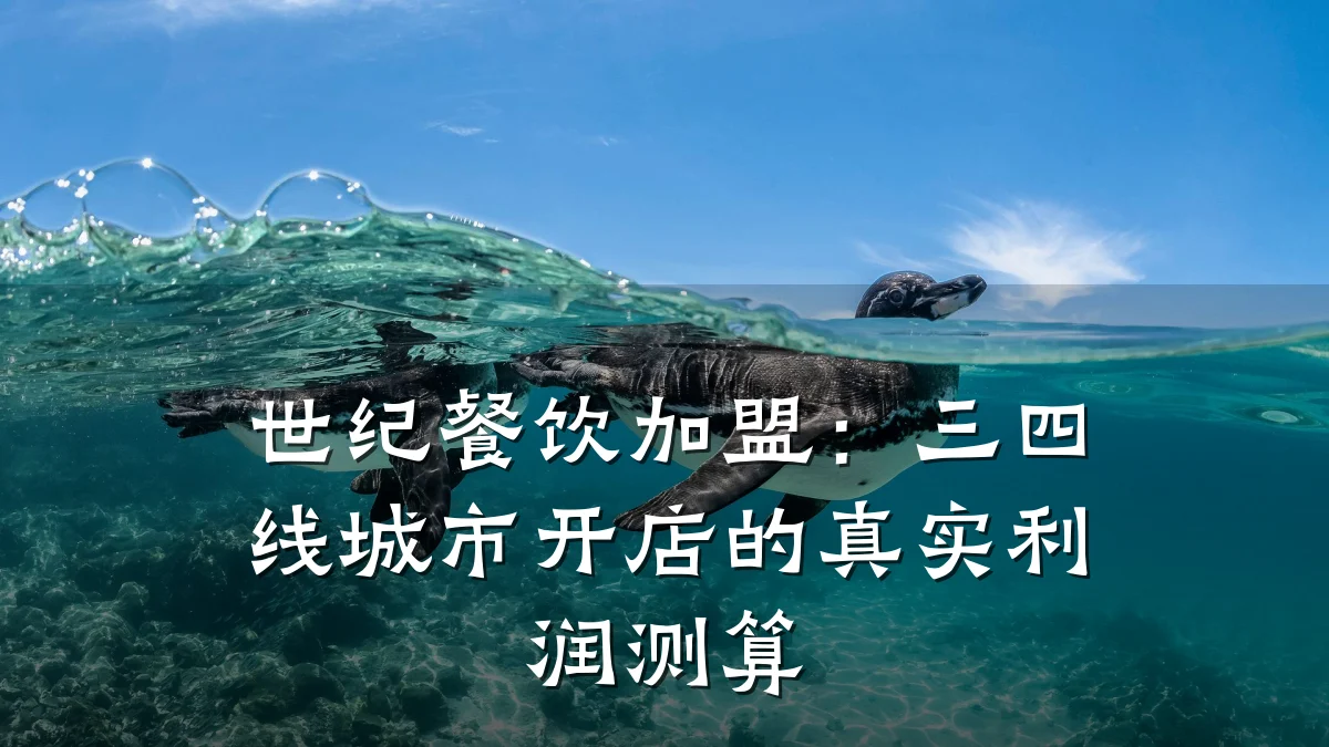 世纪餐饮加盟：三四线城市开店的真实利润测算