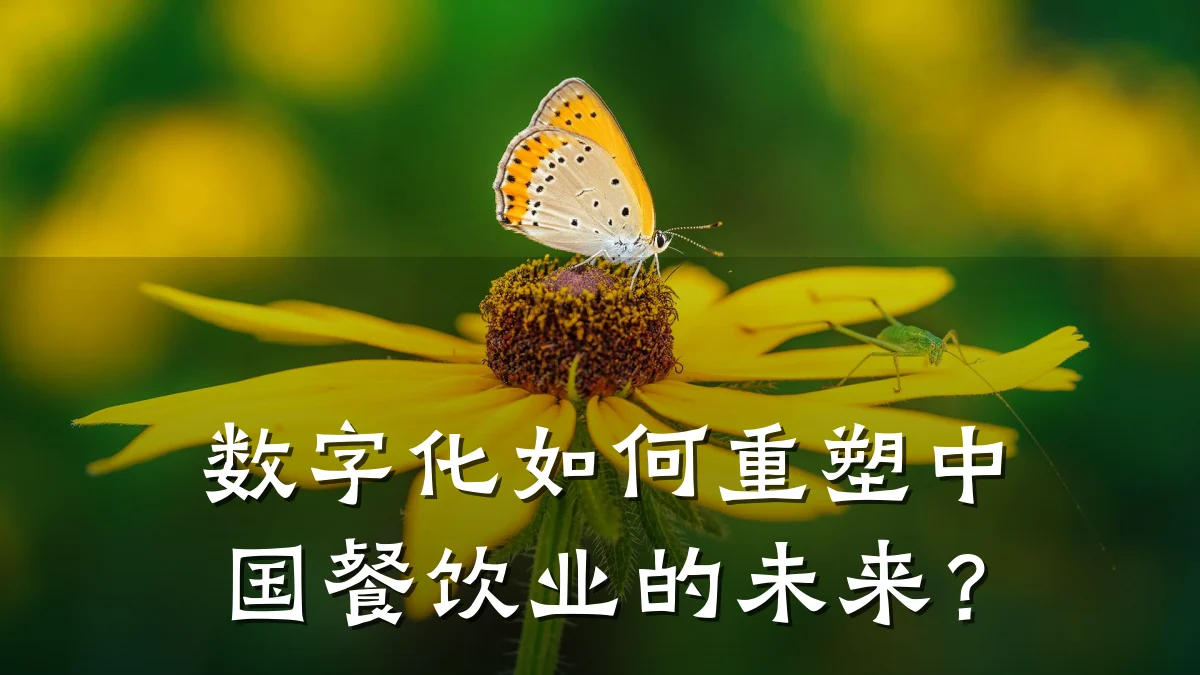 数字化如何重塑中国餐饮业的未来？