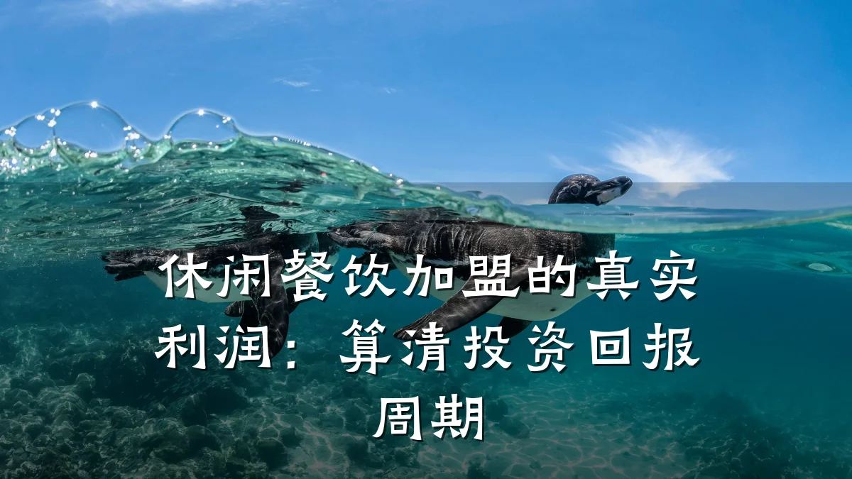 休闲餐饮加盟的真实利润：算清投资回报周期