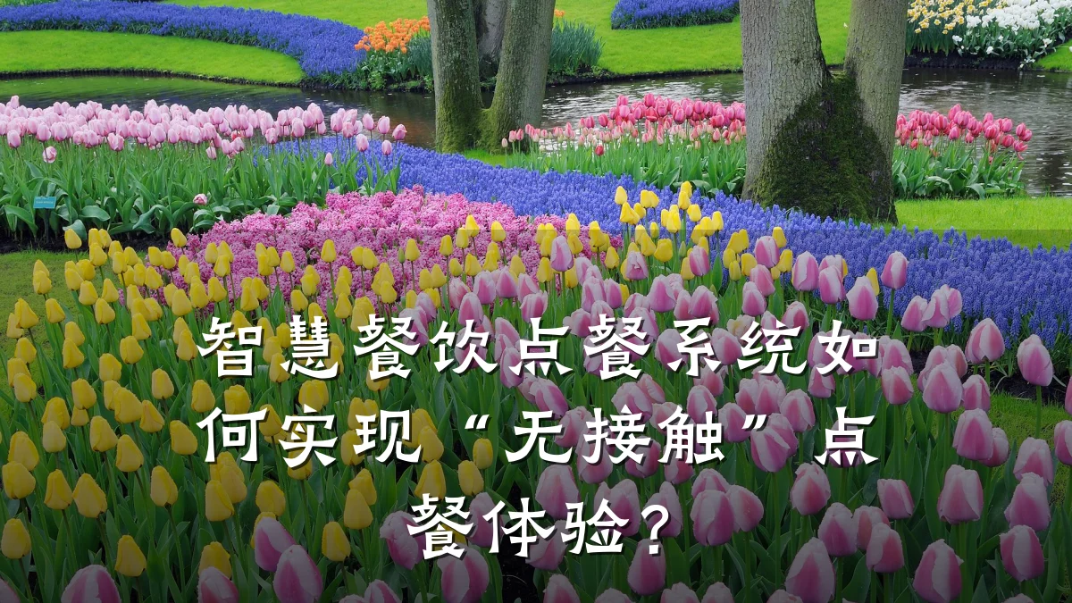 智慧餐饮点餐系统如何实现“无接触”点餐体验?