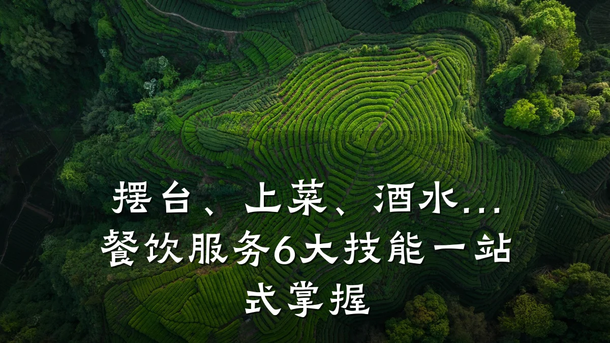 摆台、上菜、酒水…餐饮服务6大技能一站式掌握