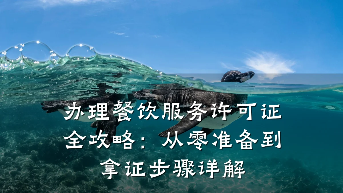 办理餐饮服务许可证全攻略：从零准备到拿证步骤详解