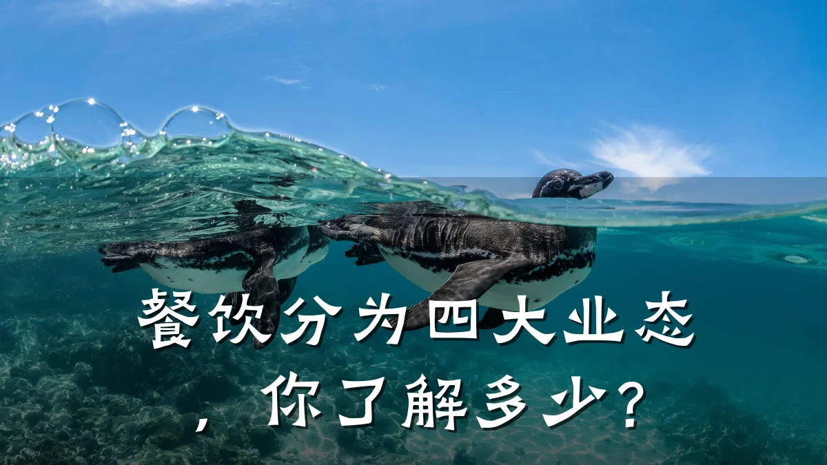 餐饮分为四大业态,你了解多少?