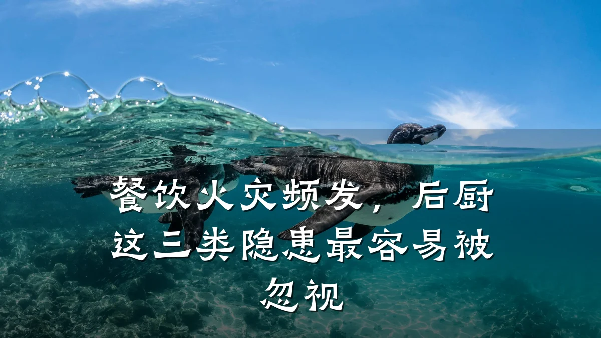 餐饮火灾频发，后厨这三类隐患最容易被忽视