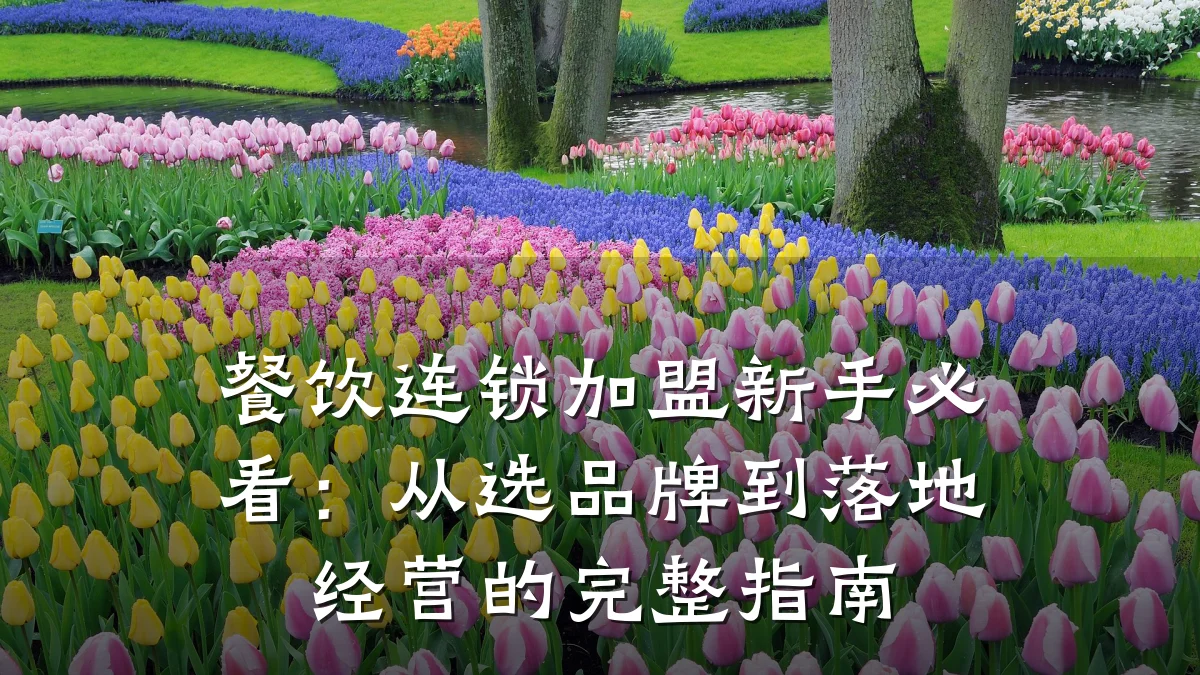 餐饮连锁加盟新手必看：从选品牌到落地经营的完整指南