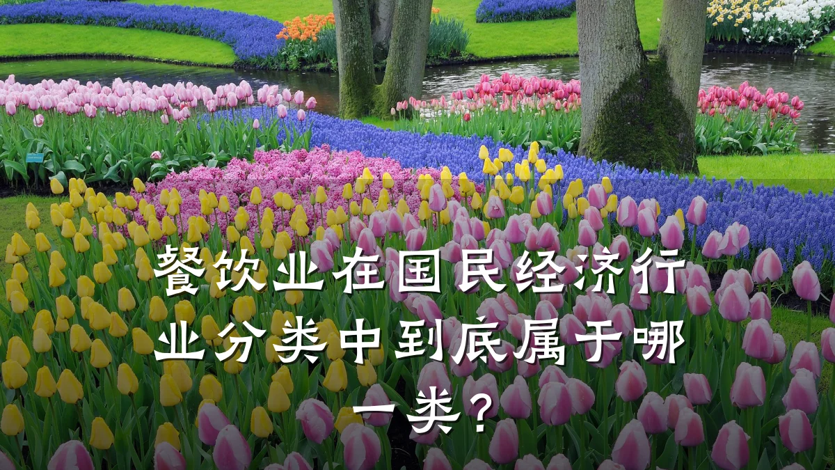 餐饮业在国民经济行业分类中到底属于哪一类？