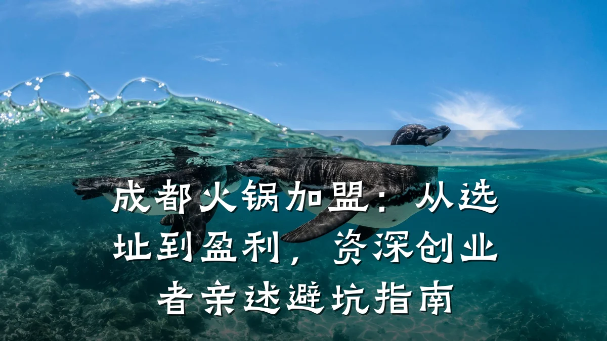 成都火锅加盟：从选址到盈利，资深创业者亲述避坑指南
