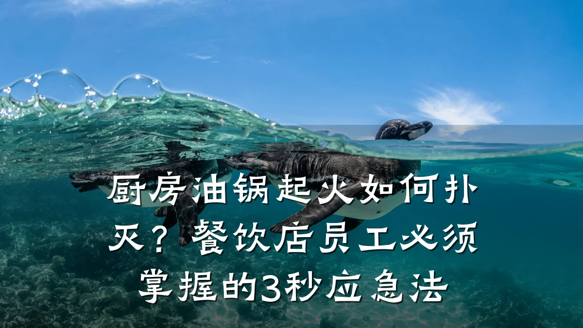 厨房油锅起火如何扑灭？餐饮店员工必须掌握的3秒应急法