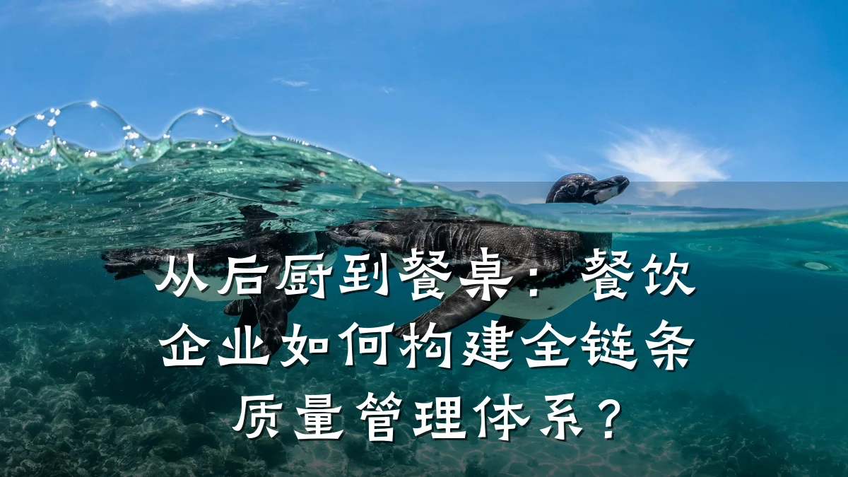 从后厨到餐桌：餐饮企业如何构建全链条质量管理体系？