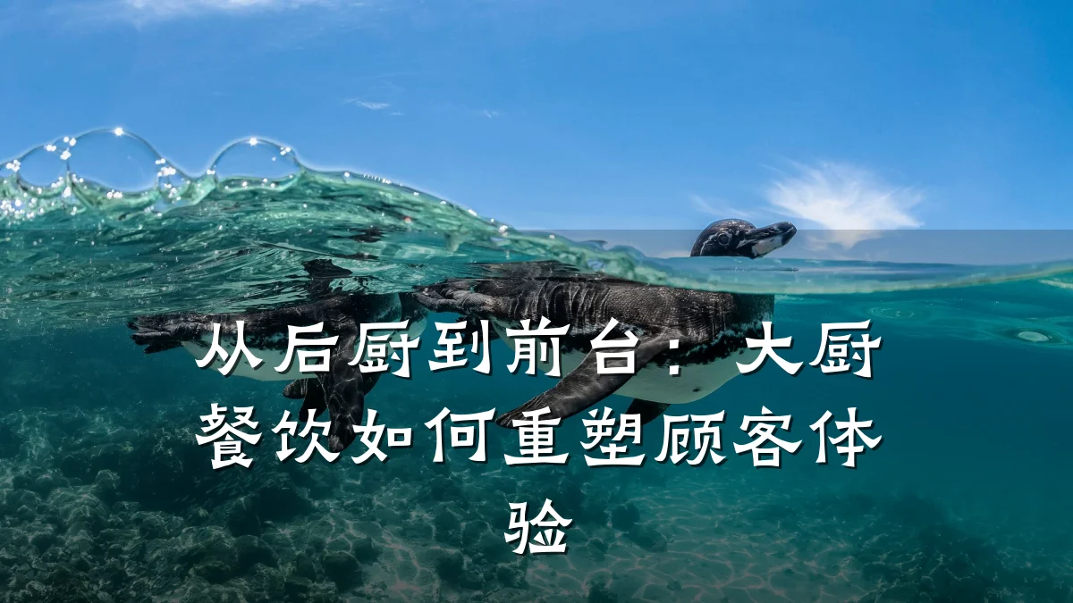 从后厨到前台：大厨餐饮如何重塑顾客体验