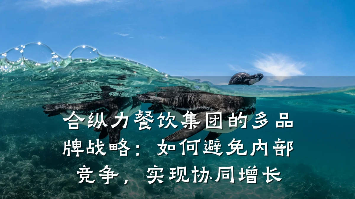 合纵力餐饮集团的多品牌战略：如何避免内部竞争，实现协同增长