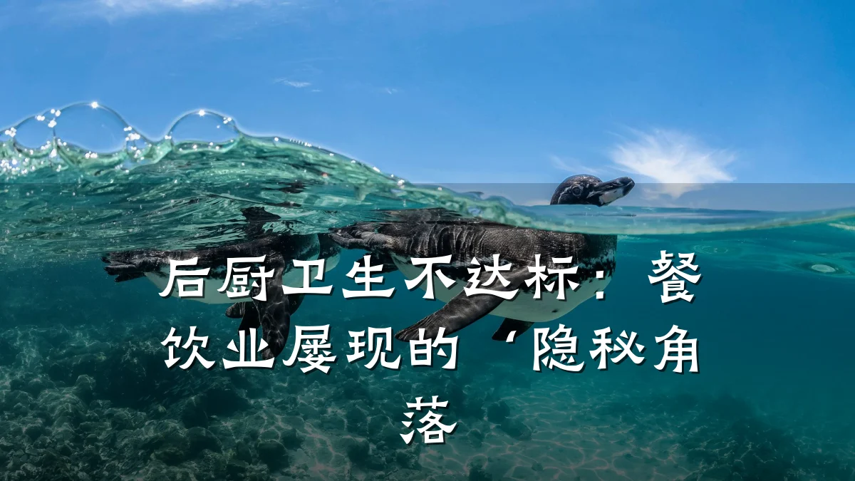 后厨卫生不达标:餐饮业屡现的‘隐秘角落