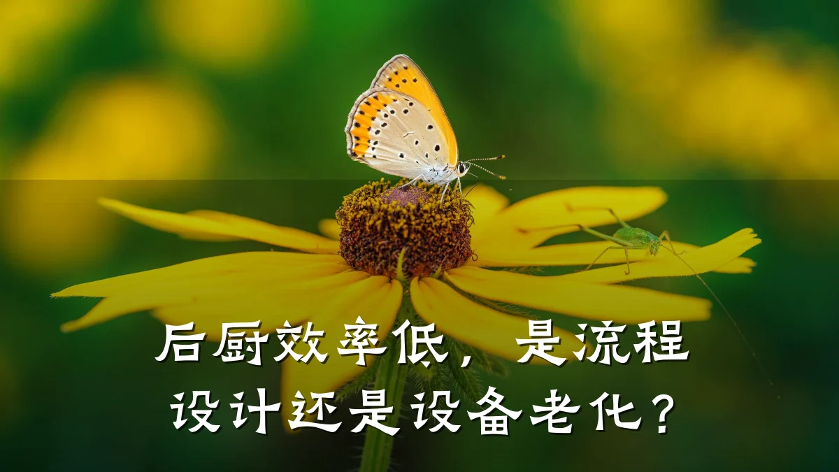 后厨效率低，是流程设计还是设备老化？