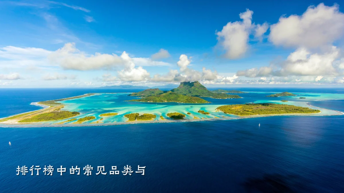 排行榜中的常见品类与