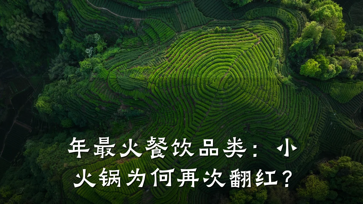 年最火餐饮品类：小火锅为何再次翻红？
