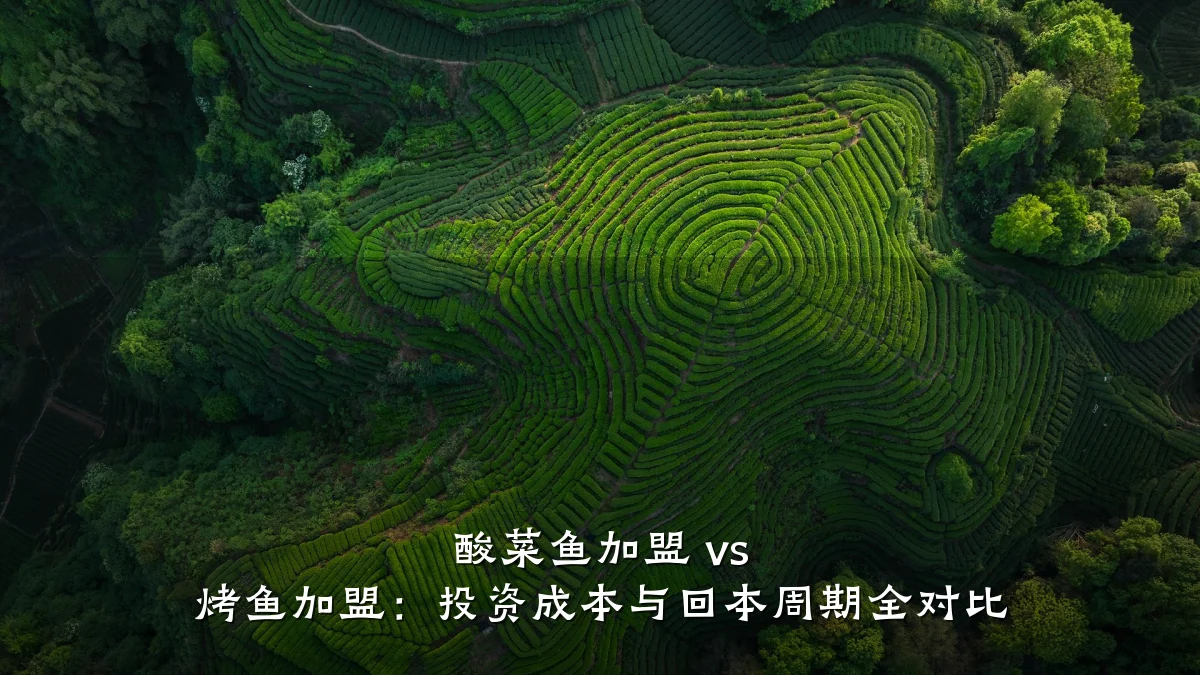 酸菜鱼加盟 vs 烤鱼加盟：投资成本与回本周期全对比