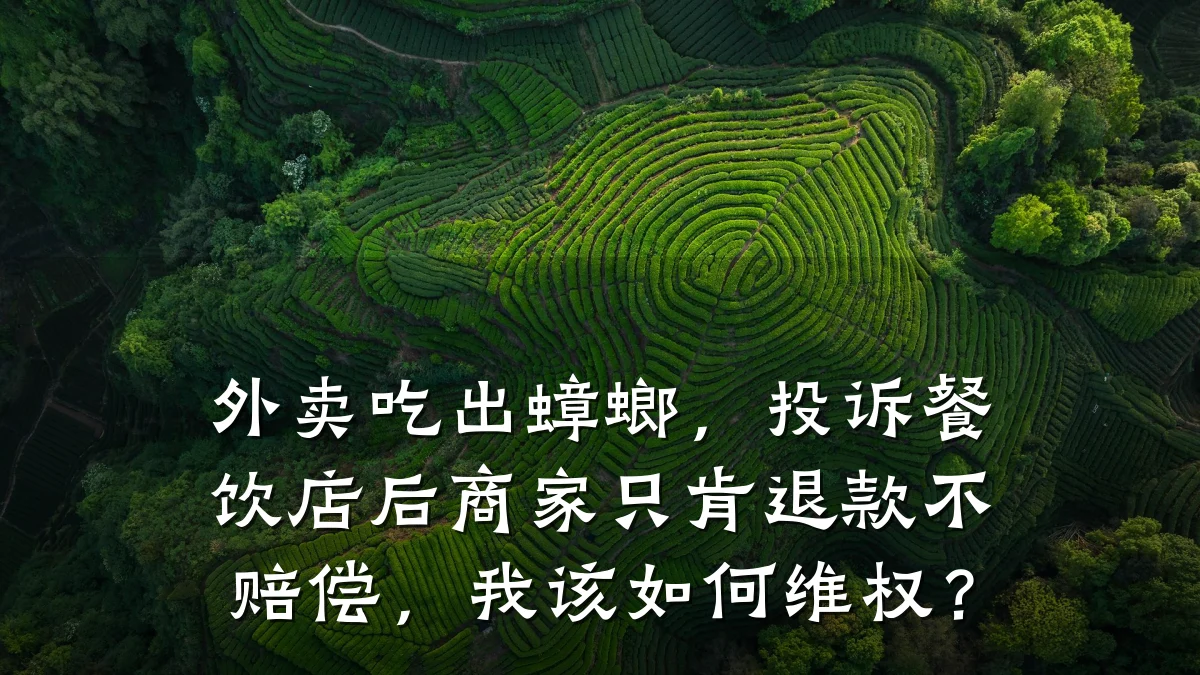 外卖吃出蟑螂，投诉餐饮店后商家只肯退款不赔偿，我该如何维权？