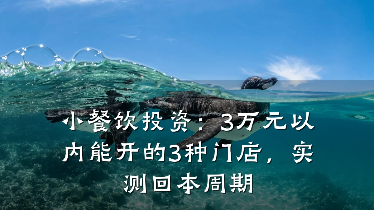 小餐饮投资：3万元以内能开的3种门店，实测回本周期