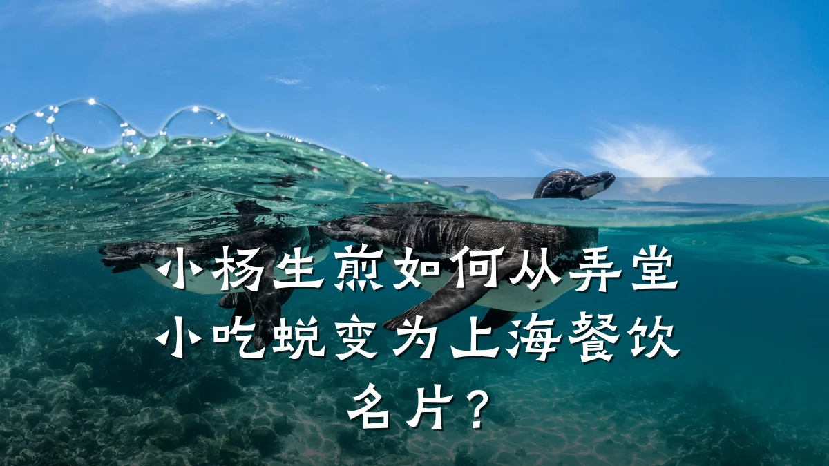 小杨生煎如何从弄堂小吃蜕变为上海餐饮名片？