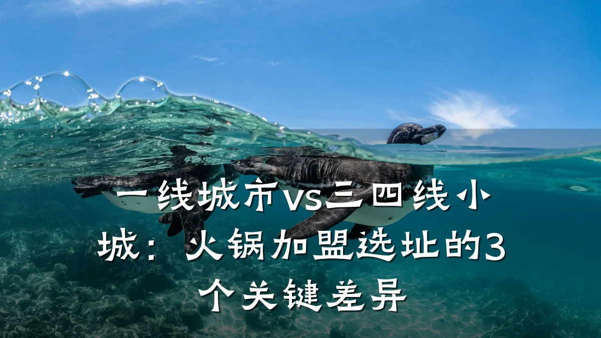 一线城市vs三四线小城：火锅加盟选址的3个关键差异